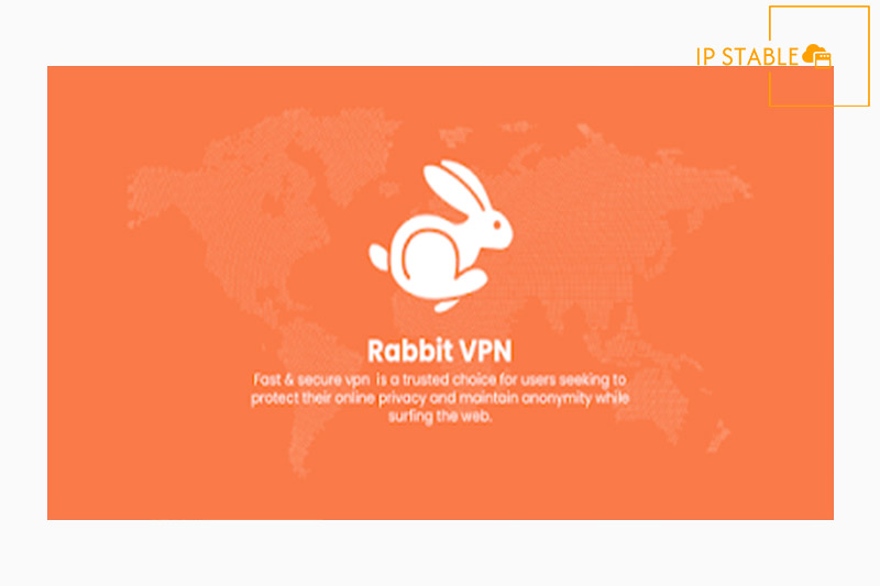 دانلود مستقیم فیلتر شکن قوی خرگوش Rabbit VPN برای کامپیوتر و لپ تاپ ویندوز